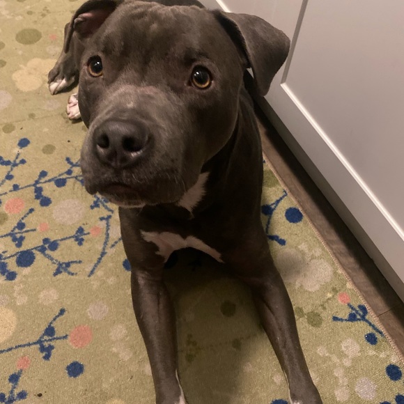 Meet your Posher, Necole - Picture 1 of 1